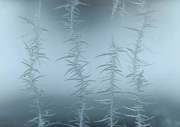 Ledové Krystaly Skle Tvaru Rostliny Nebo Květiny — Stock fotografie
