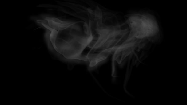 Μονόχρωμος Καπνός Μαύρο Φόντο — Αρχείο Βίντεο