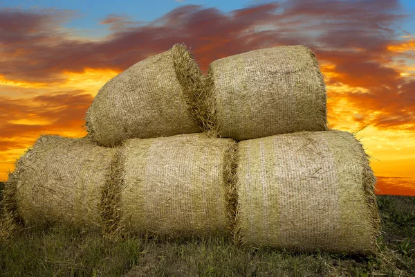 Heap of hay bales — Stock Photo, Image