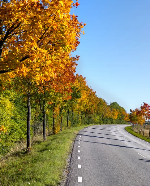 Carretera de campo en otoño — Foto de Stock