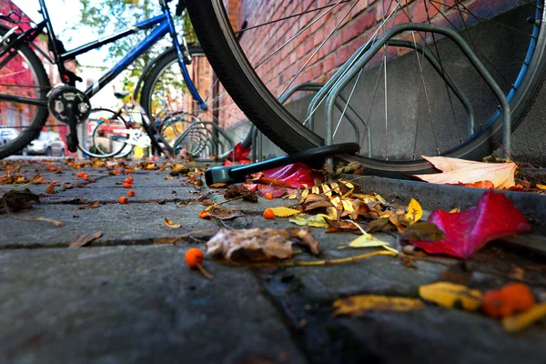 Bicycle in city in autumn — Stock Photo, Image