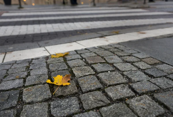 Urban fall — Stock Photo, Image