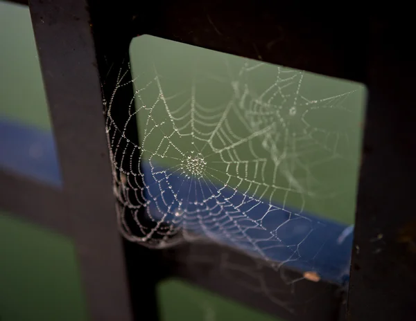 Teia de aranha na ponte — Fotografia de Stock