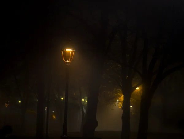 Licht im Park — Stockfoto