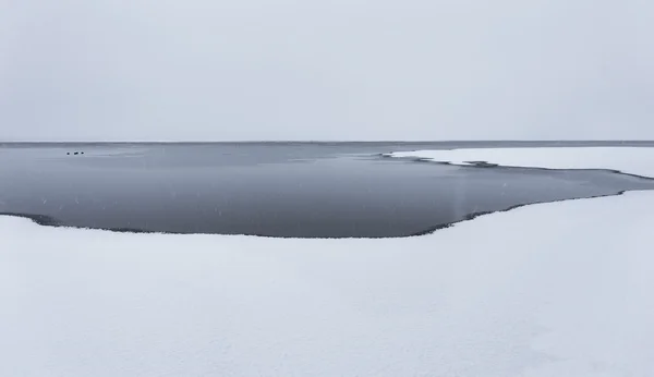 Paysage hivernal clairsemé — Photo