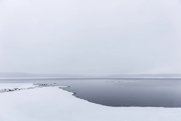 Seyrek kış manzarası — Stok fotoğraf
