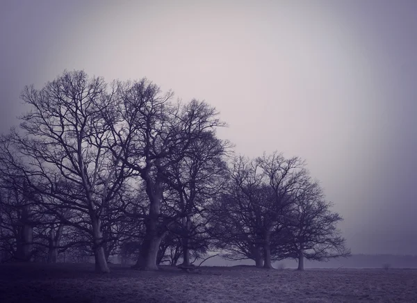 Spooky landscape — Stock Photo, Image