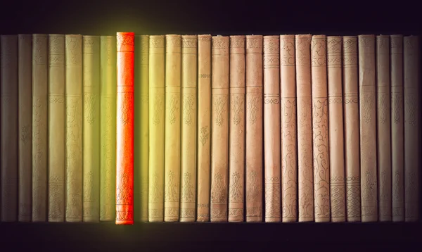 Row of Vintage books — Stock Photo, Image