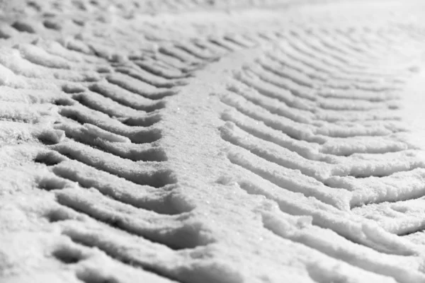 Tractor print in snow — Stock Photo, Image