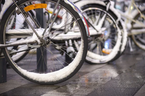 Räder von geparkten Fahrrädern — Stockfoto