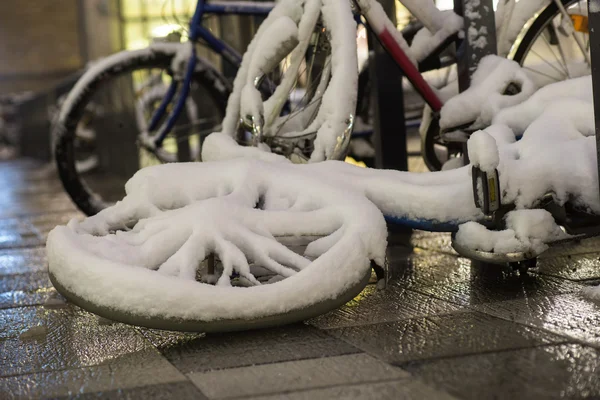 停放自行车的轮子 — 图库照片