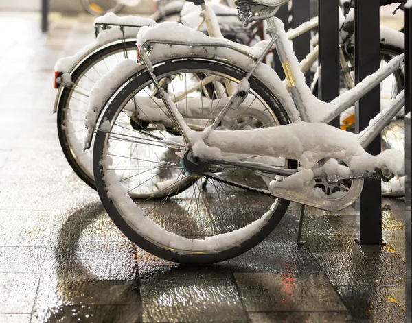 Wheels of parked bikes — Stock Photo, Image