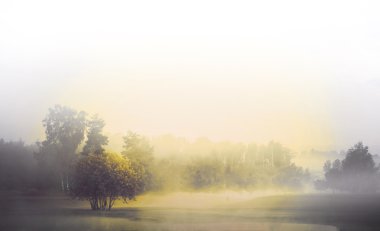 Sis, tek renkli yatay