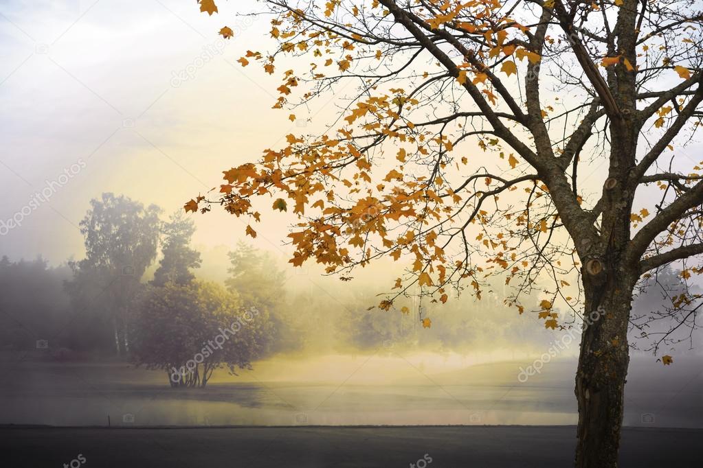 Autumn landscape with fog and sunshine