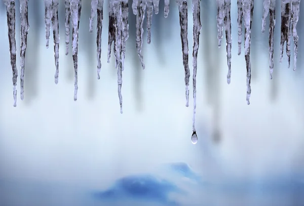 Icicles hanging in winter — Stock Photo, Image