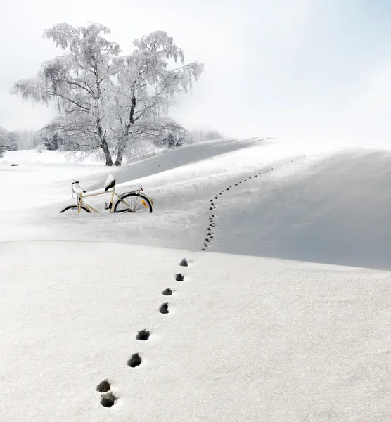 Birch tree and half buried bicycle in snow — Stock Photo, Image