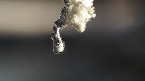 Druppels water van smeltend ijs benadert — Stockvideo