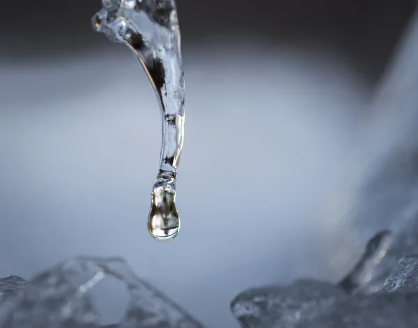 Icicle'ı buz dünyada — Stok fotoğraf