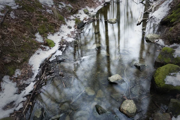 Stream in early spring — Stock Photo, Image