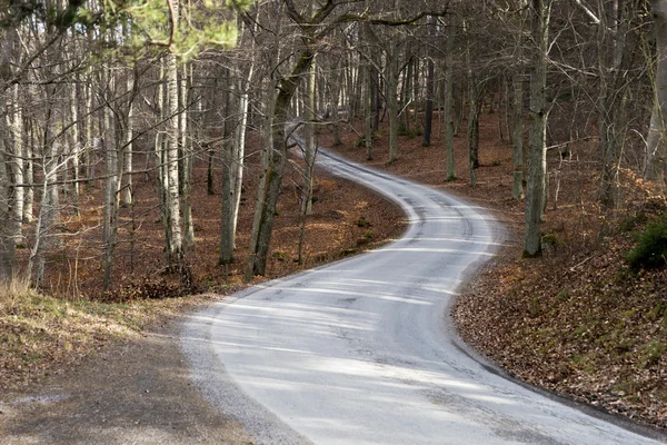 Route étroite sinueuse — Photo