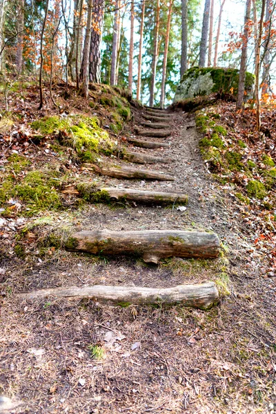 Escadaria com troncos na floresta sueca — Fotografia de Stock