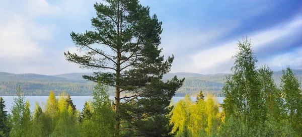 Lac scandinave sur une journée ensoleillée d'été — Photo