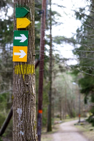 Arow signs on tree — Stock Photo, Image