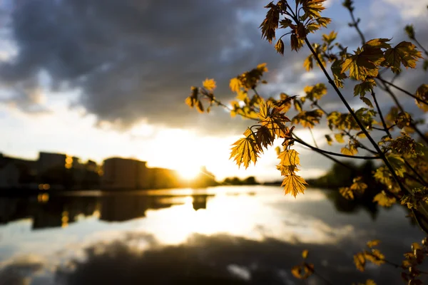 Puesta de sol sobre la ciudad por el agua —  Fotos de Stock