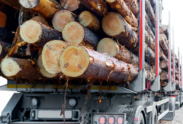 Holz auf Anhänger eines Holzlastwagens — Stockfoto