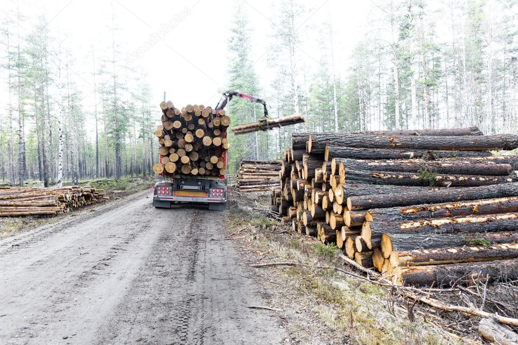 Timber truck on swedish dirt road