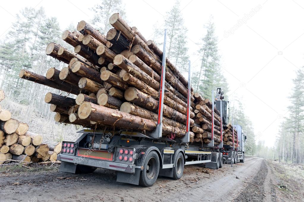 Timber truck on swedish dirt road