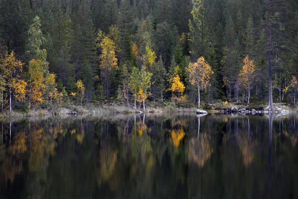 Sjön på hösten — Stockfoto