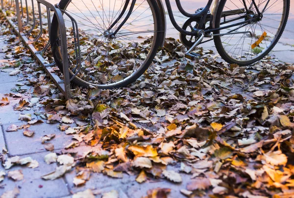 Bike in autumn — Stock Photo, Image