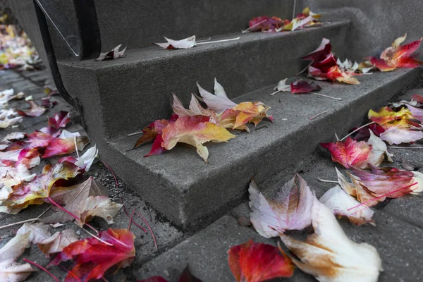 Staircase with leaves in autumn — Stock Photo, Image