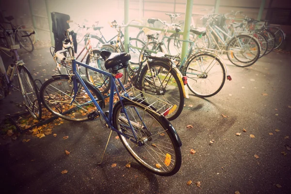 Bikes in autumn — Stock Photo, Image