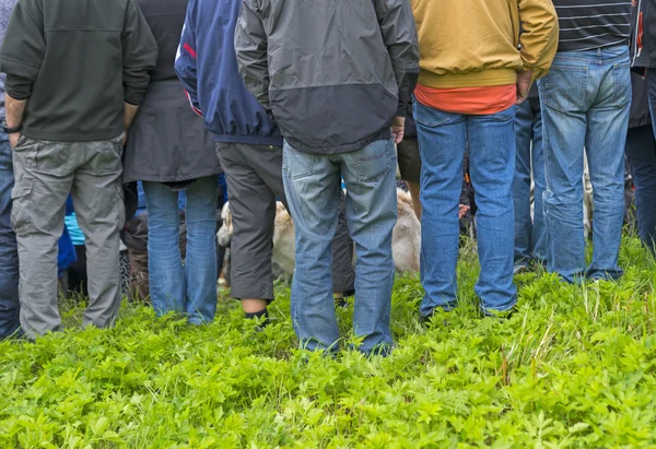 Vue arrière du groupe de personnes — Photo