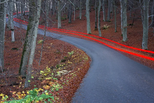 Licht paden op landelijke weg — Stockfoto