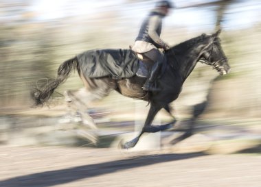 Karanlık at dörtnala