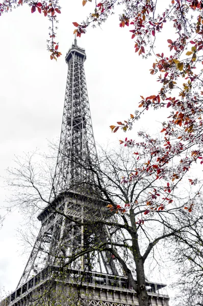 Paris na primavera — Fotografia de Stock