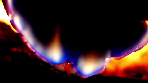 Leña ardiendo con llamas azules — Vídeo de stock