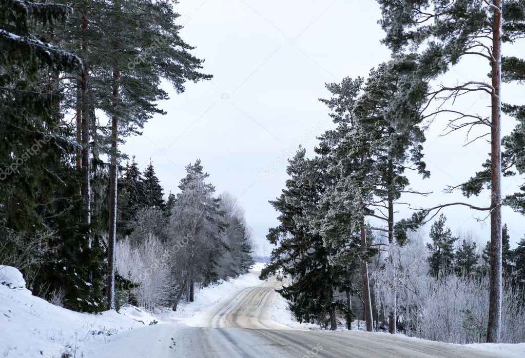 Scandinavian winter road