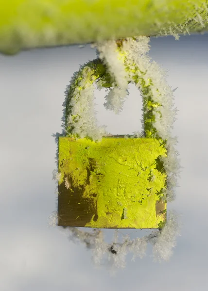 Dondurulmuş yeşil asma kilit — Stok fotoğraf
