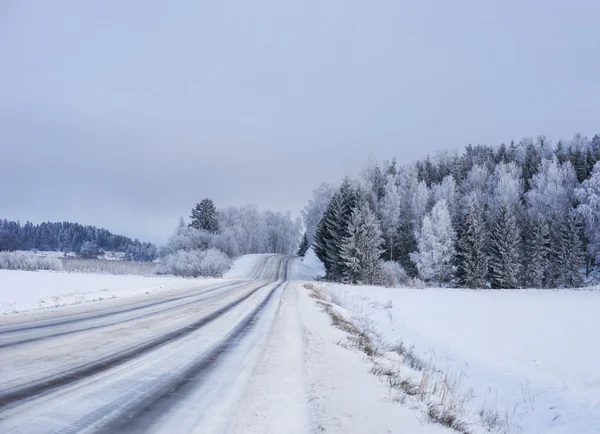 Boş kış yolu — Stok fotoğraf