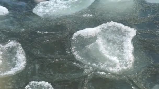 Ice floes verplaatsen in koud water — Stockvideo