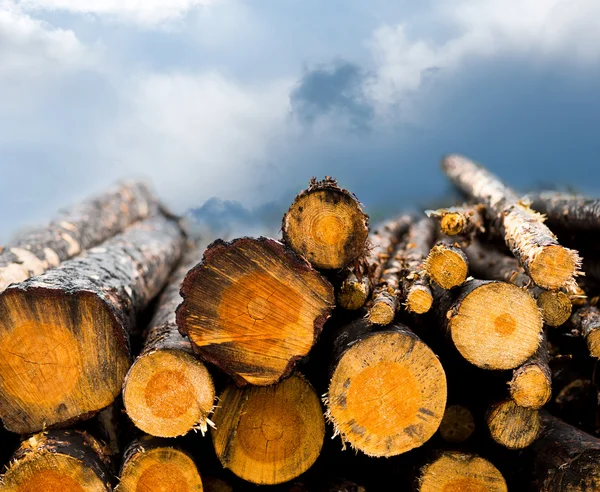 Pile of timber — Stock Photo, Image