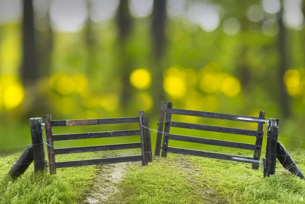 Old closed wooden gate — Stock Photo, Image