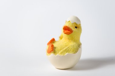 Paskalya ördek yavrusu ve yumurta