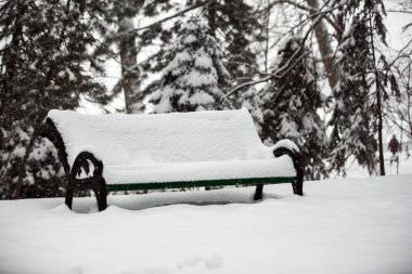 Kış manzarası. Kış sahne. Donmuş tesisleri.