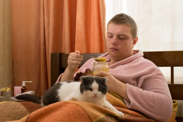 Άρρωστος Ξαπλωμένος Στο Κρεβάτι Γάτα Και Τρώγοντας Μέλι — Φωτογραφία Αρχείου