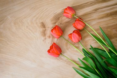 Açık ahşap zemin üzerinde kırmızı laleler